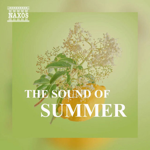 米塔爆乳被❌🔞㊙动漫
